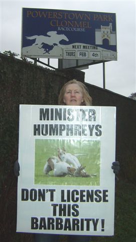 Click on image to see full-sized version demo_16_3.jpg