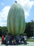 Click on image to see full-sized version El Gran Cacao/Rio Chico/Barlovento-Venezuela