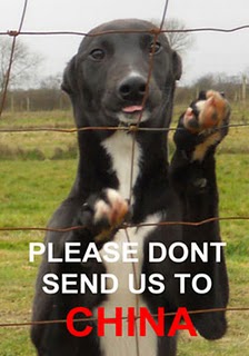 Click on image to see full-sized version NO TO OUR FRIENDS RACING IN CHINA