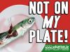 fishplatesmall.jpg
