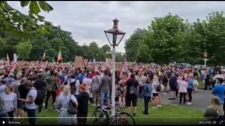 phoenix_park_oppositon_to_vax_pass.jpg