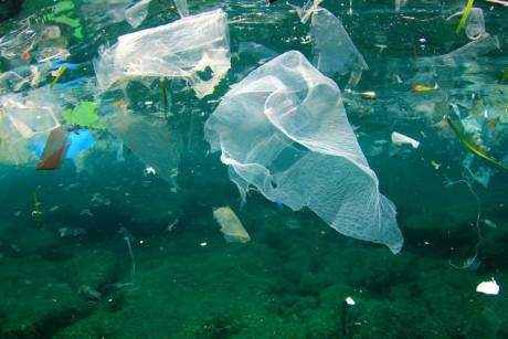 Click on image to see full-sized version Plastic debris floating in the sea...
