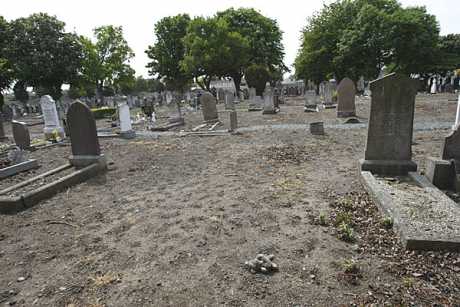 Click on image to see full-sized version Bethany Home common grave area - Mount Jerome cemetary