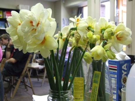 ...... eh, daffodils!