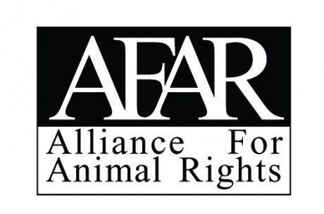 Click on image to see full-sized version afar_logo.jpg