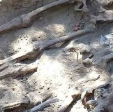 Recovering the remains of the executed