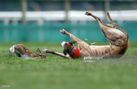 Click on image to see full-sized version irish_cup__2013_three.jpg